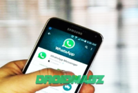 Cara Menonaktifkan WhatsApp Sementara
