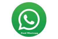 Download Fouad WhatsApp